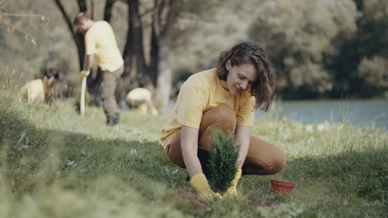 Best Lawn Pest Prevention  in Madill, OK